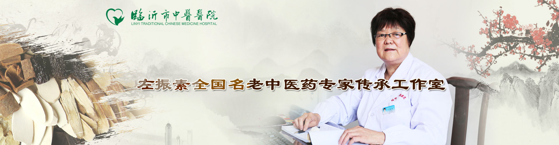 左振素全國(guó)名(míng)老中(zhōng)醫(yī)傳承工(gōng)作(zuò)室 左振素全國(guó)名(míng)老中(zhōng)醫(yī)傳承工(gōng)作(zuò)室